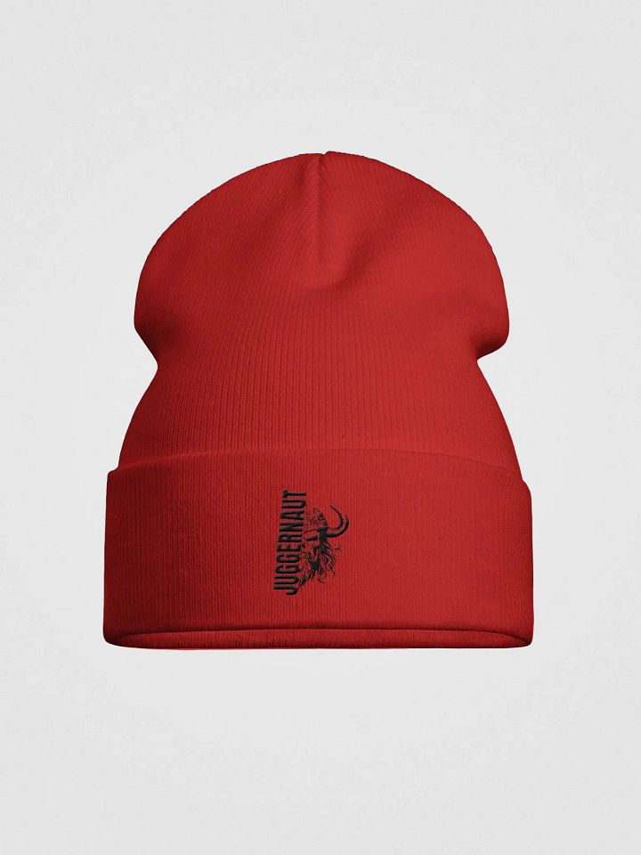 Juggernaut Knit Beanie product image (8)
