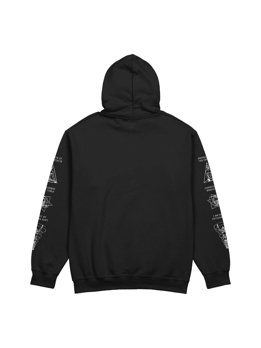 Gateway Experience Hoodie (Gildan) product image (3)