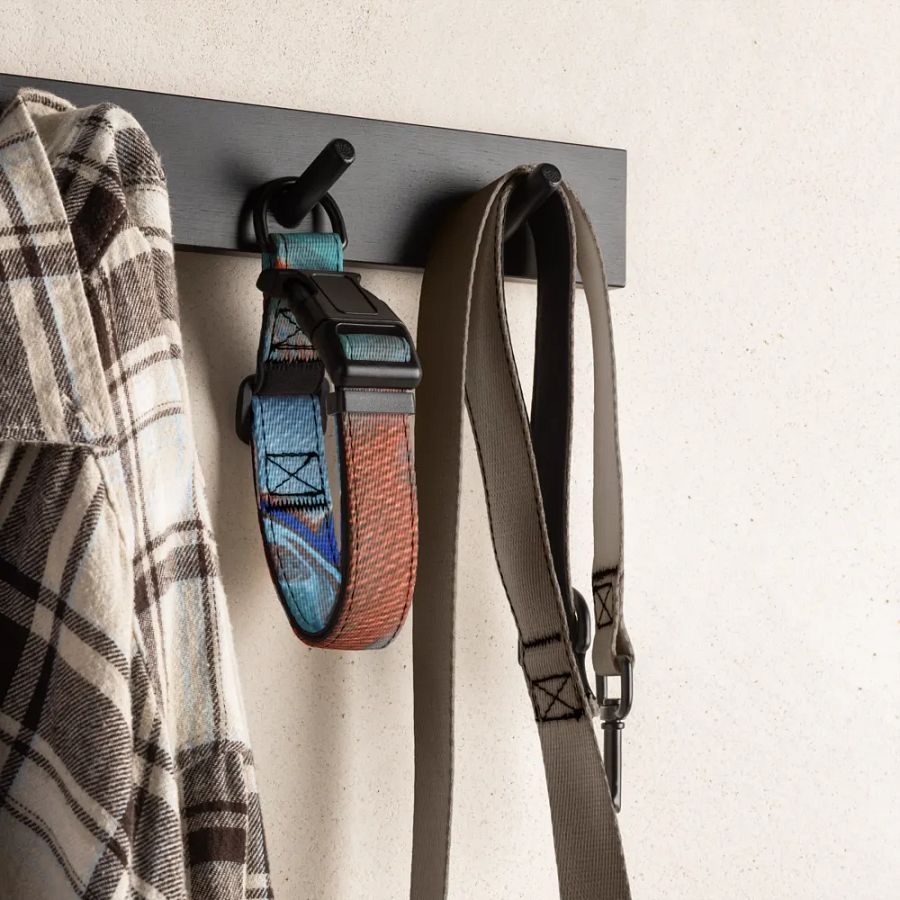 Metallic Orange Pet Collar product image (4)