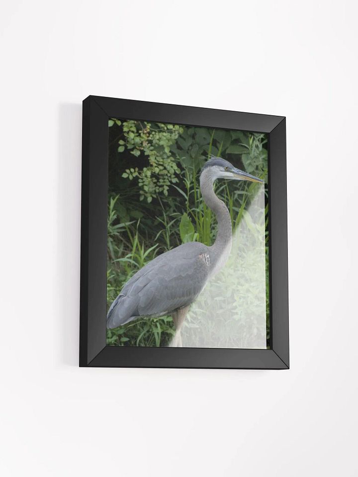 Great Blue Heron Poster product image (2)