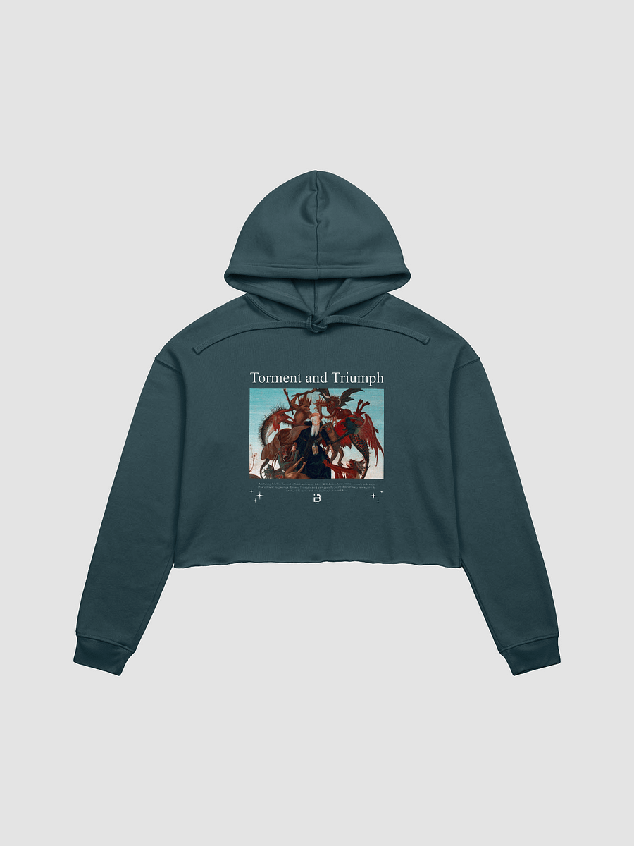 Torment and Triumph - BUIII Remix Fleece Crop Hoodie product image (7)
