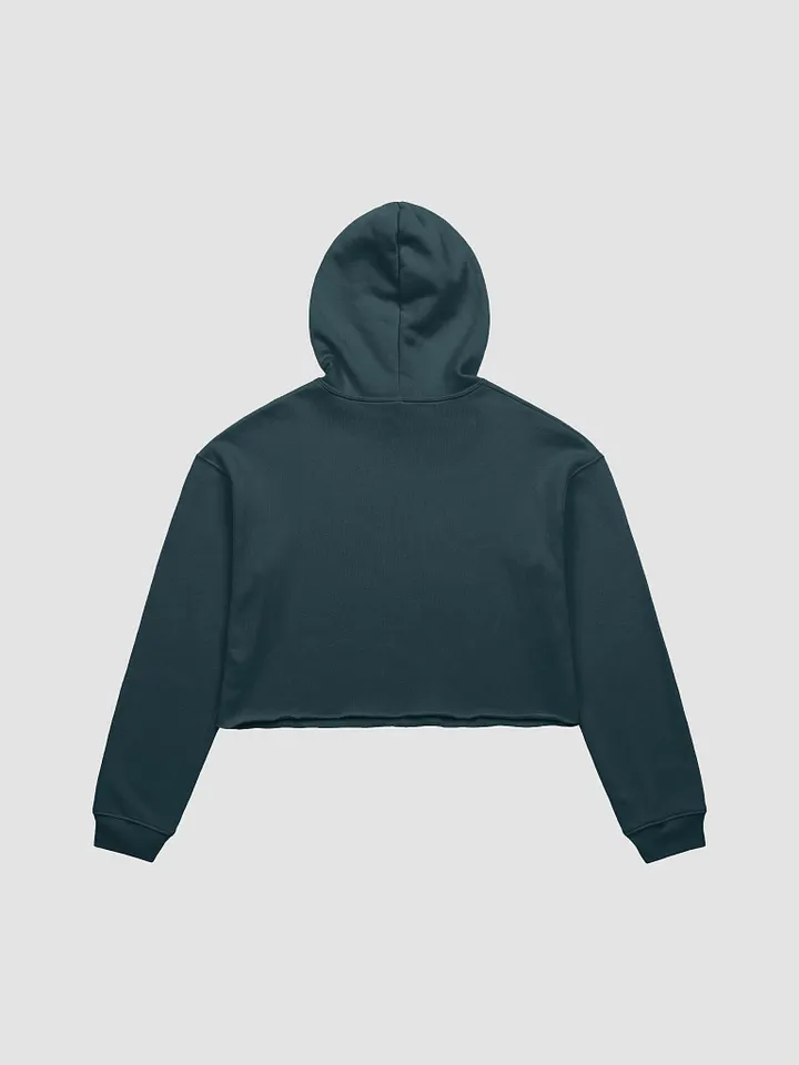 Crop Top Hoodie product image (2)