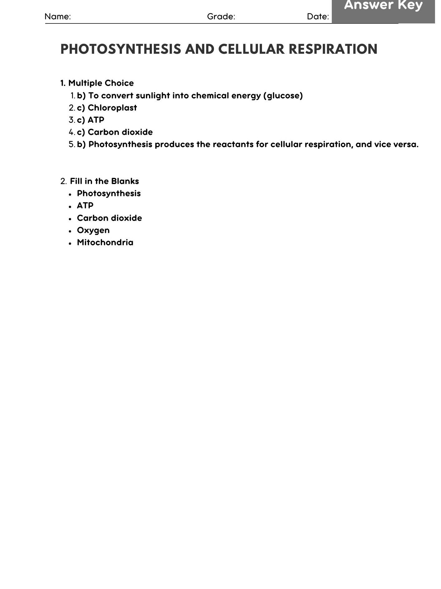 Photosynthesis and Cellular Respiration Worksheet - Biology Activity product image (2)