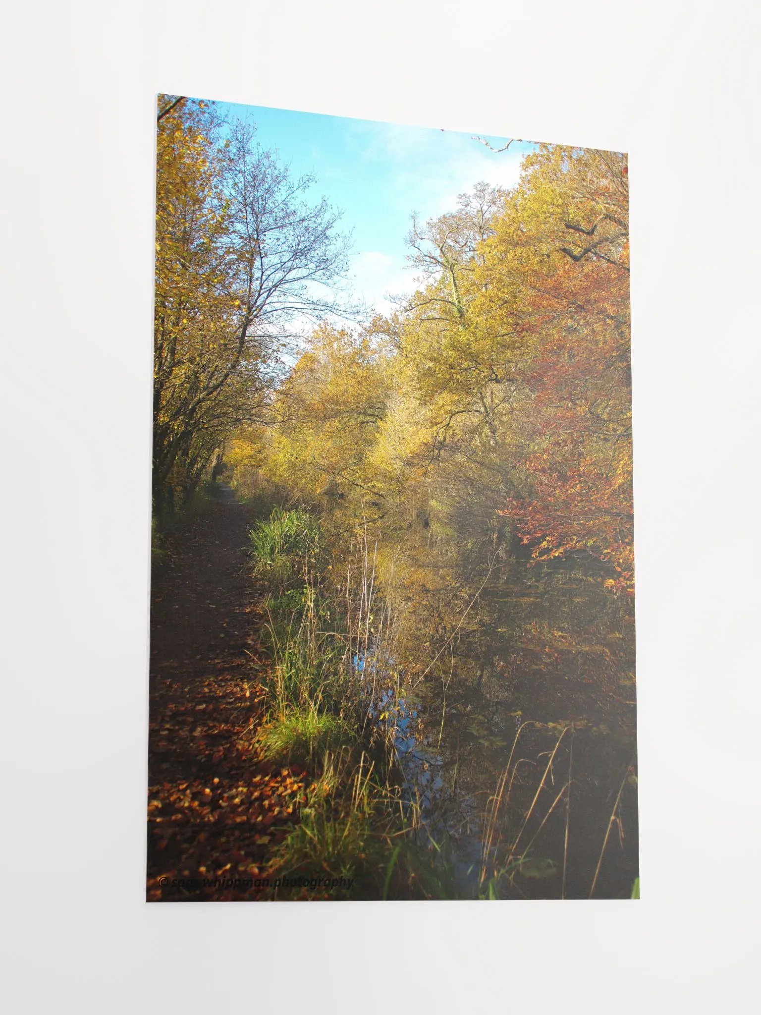 Autum Weather product image (6)