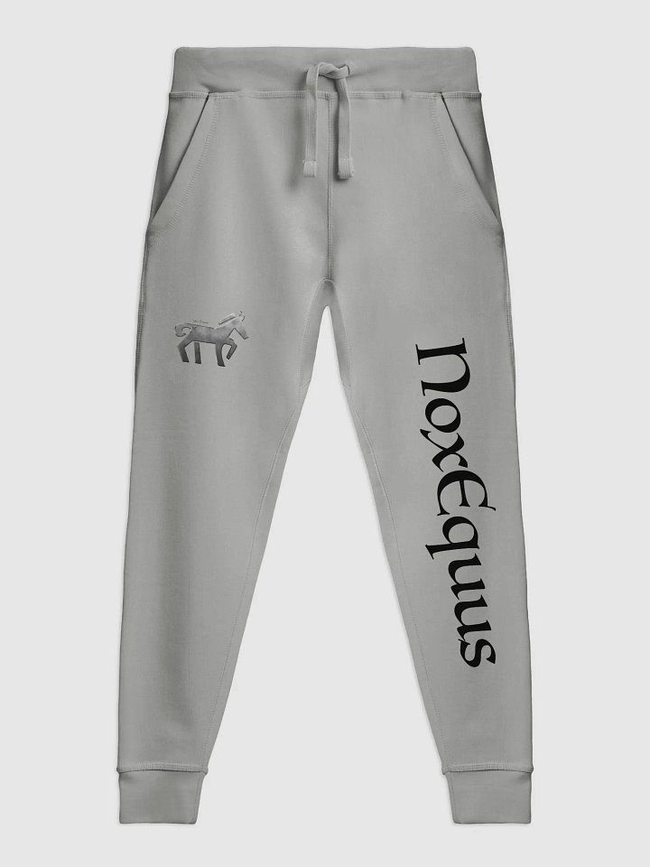 Shadowed Comfort Joggers product image (1)