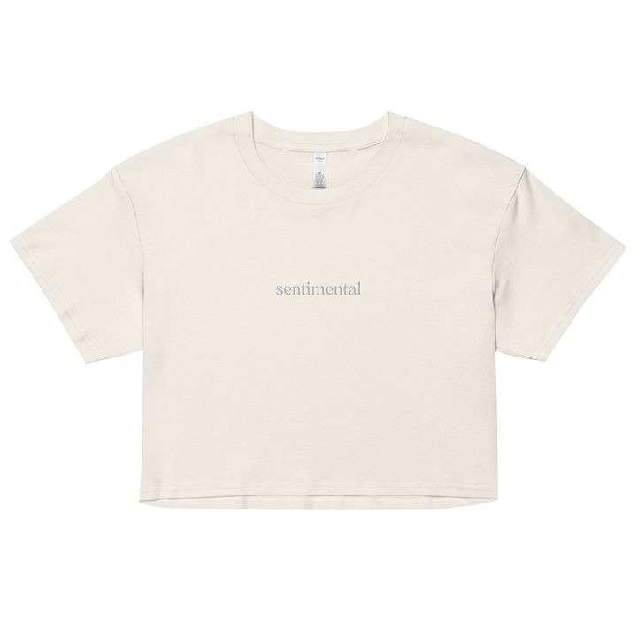Sentimental Embroidered Crop Top product image (1)