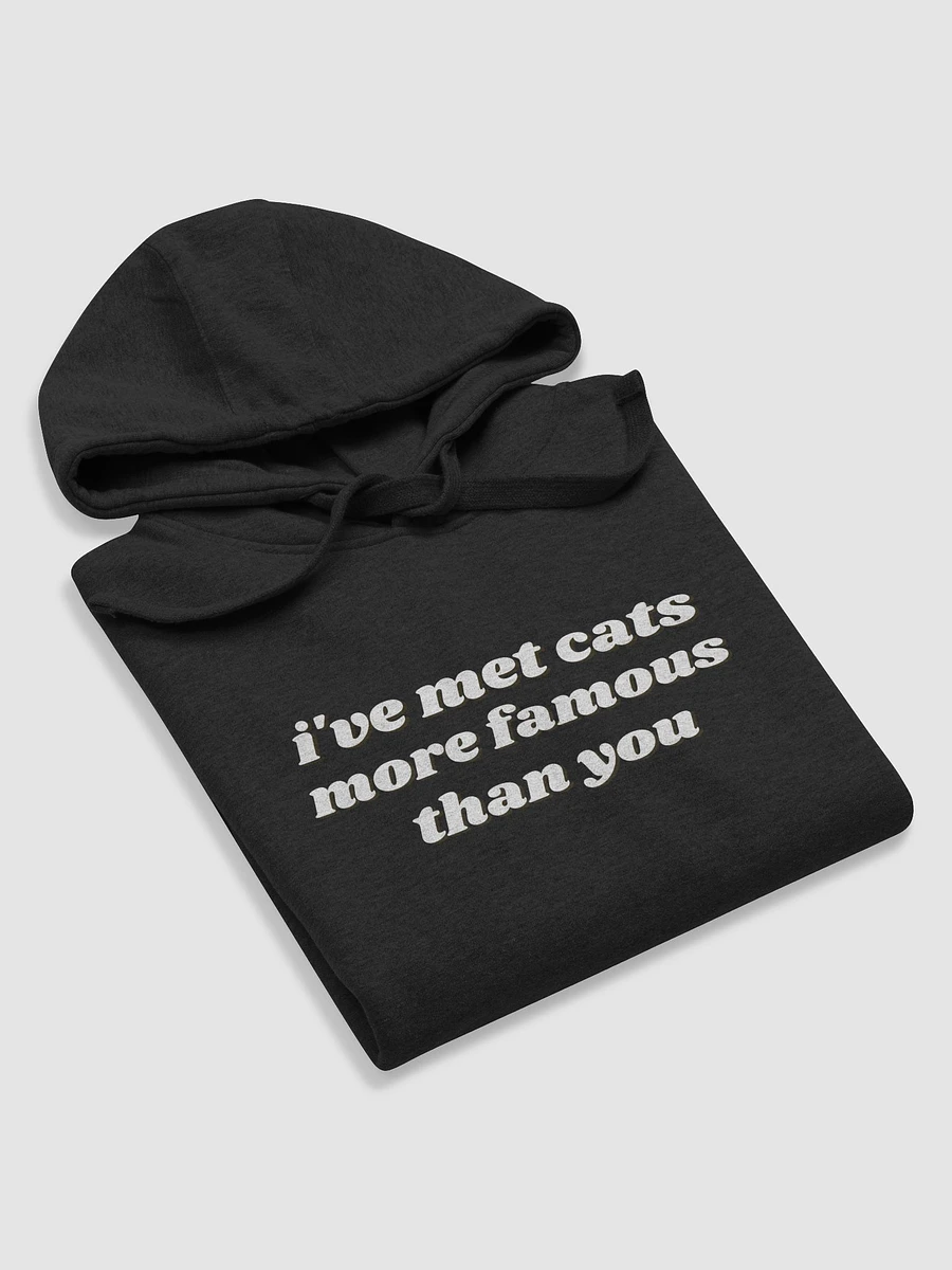 Famous Cat hoodie product image (19)