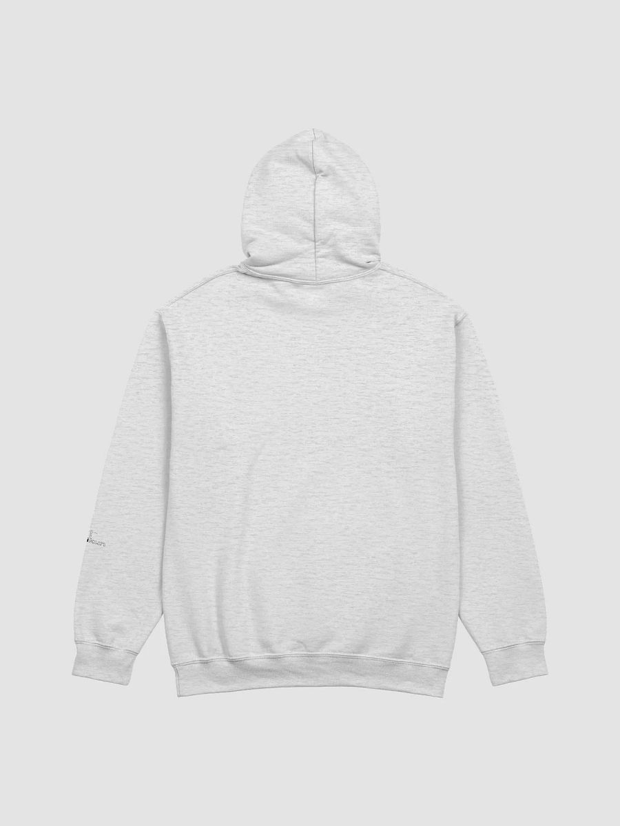 Conspiracy Leads To Spirituality - Gildan Classic Hoodie product image (2)