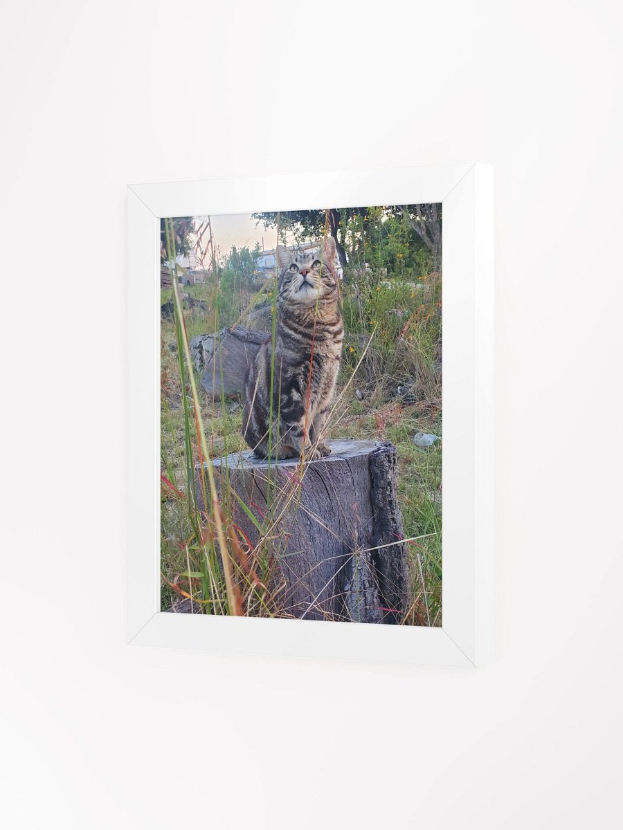 A Cat Named Purrsie Framed Matte Poster product image (7)