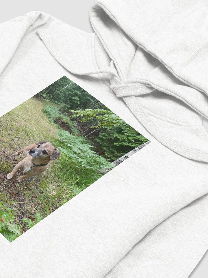 Rocky Hoodie product image (2)