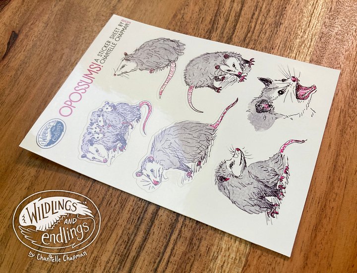 Opossums! Sticker Sheet product image (1)