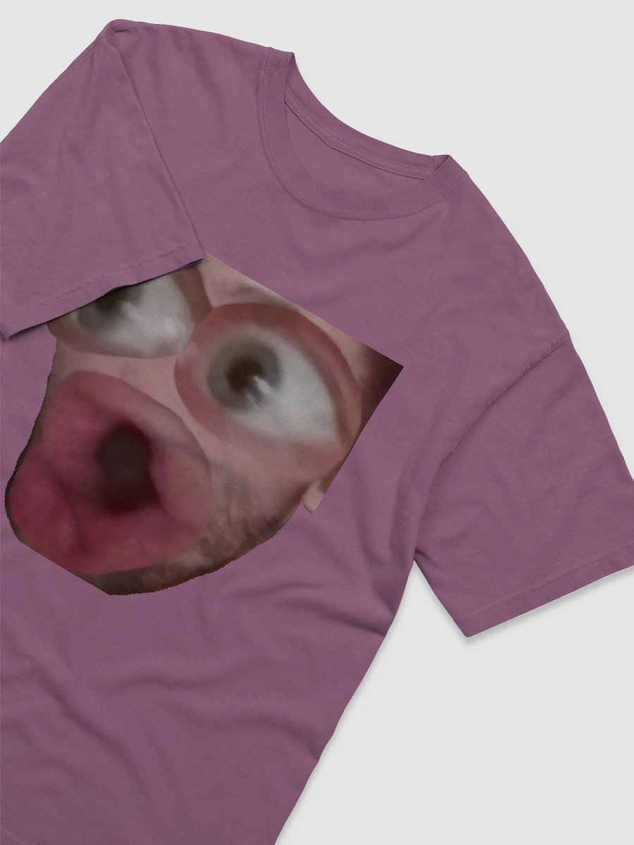 Cursed Pog T-Shirt (Comfort Heavyweight) product image (3)