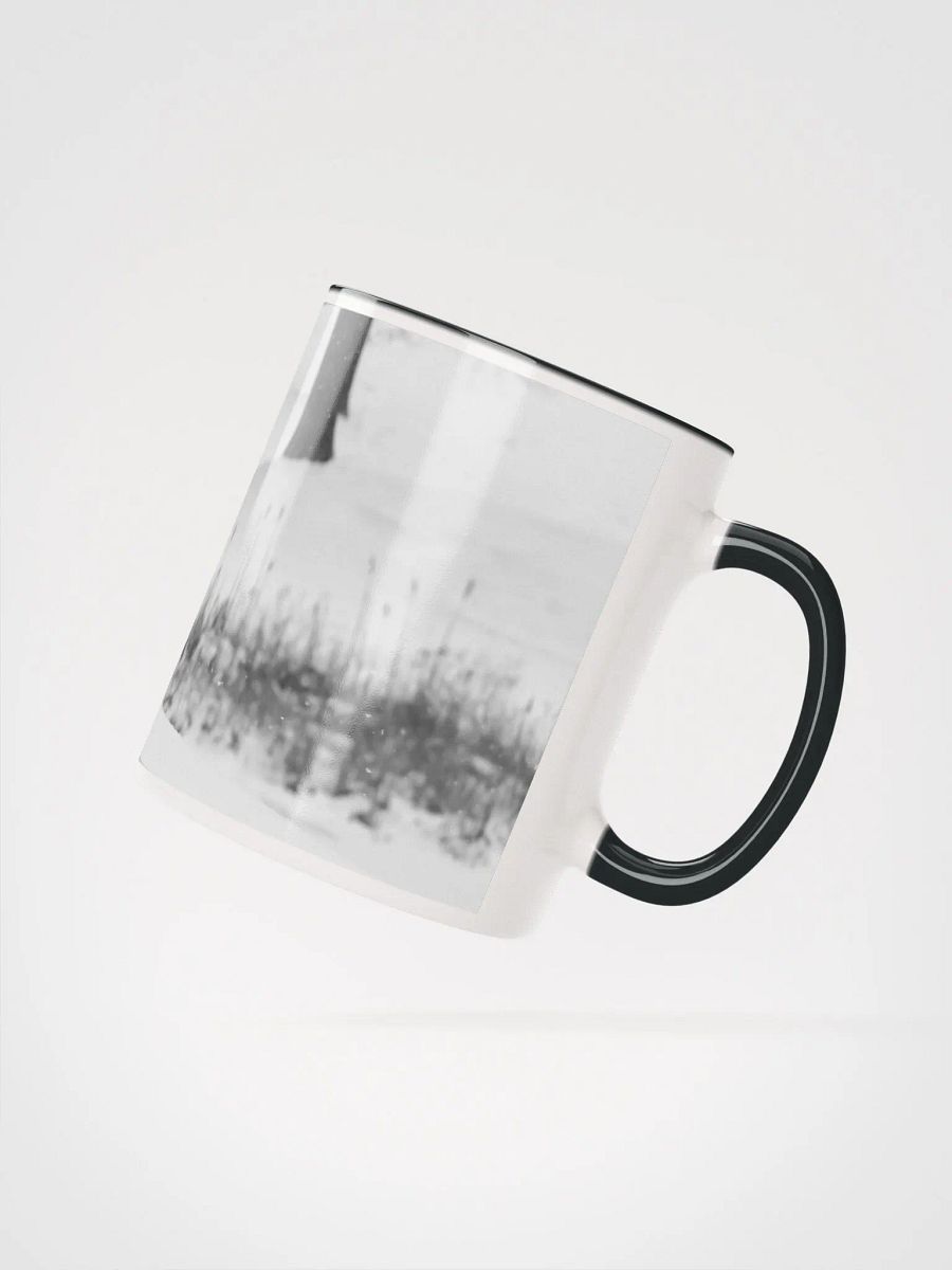 Cute Klee Kai Puppy - Black & White product image (4)
