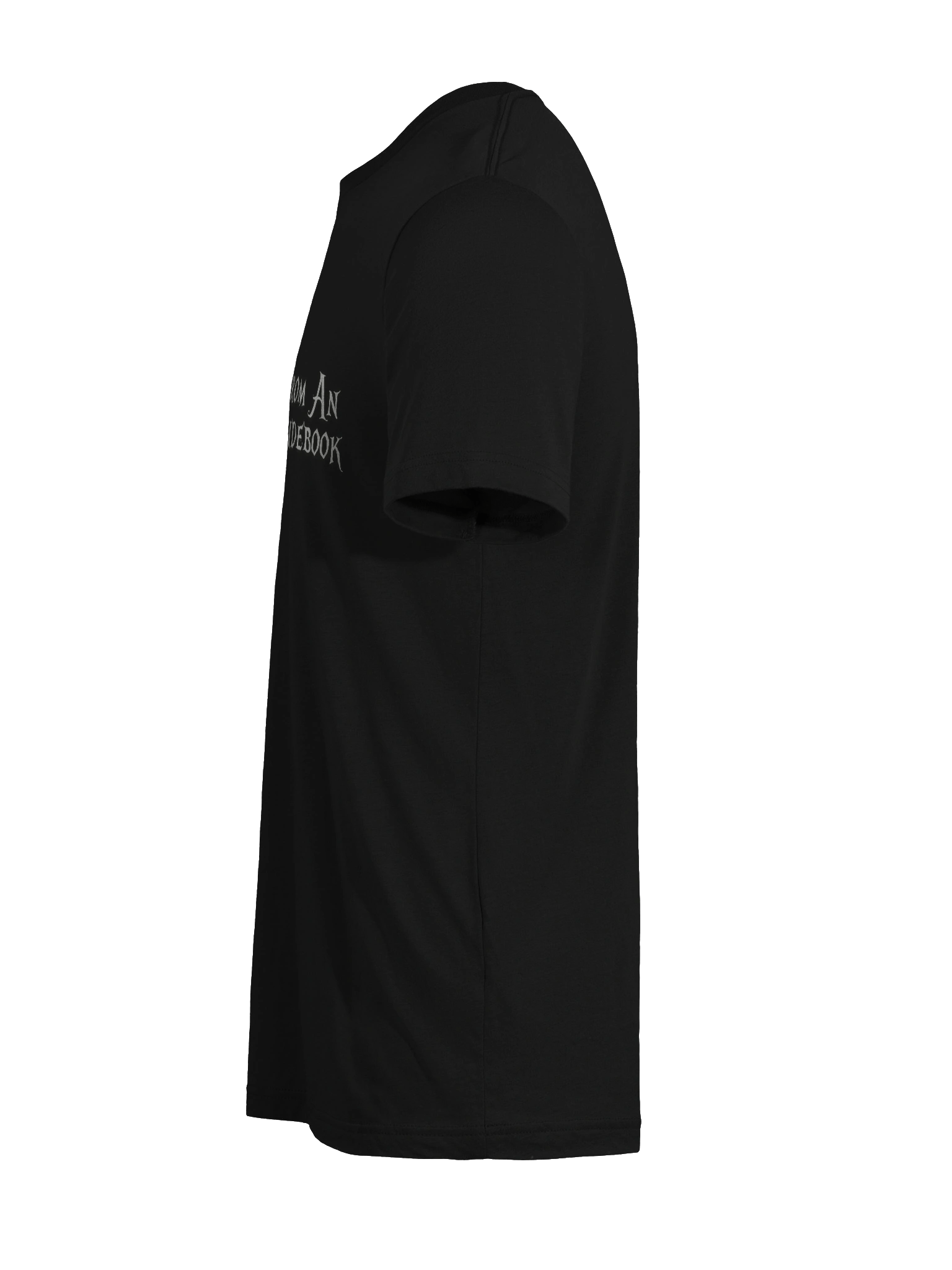 Excerpts from an Unknown Guidebook - Bella+Canvas Triblend Short Sleeve T-Shirt product image (11)