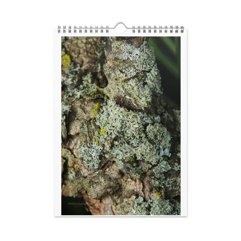 Likin' Lichen 2025 Wall Calendar product image (1)