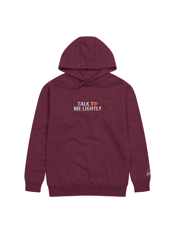 Talk To Me Lightly Embroidered Hoodie product image (4)