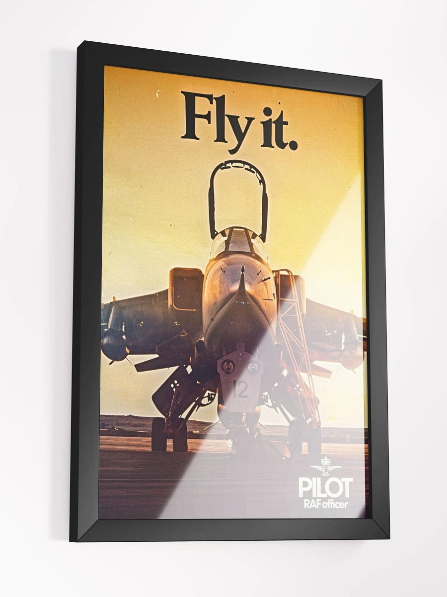 Fly it. product image (3)