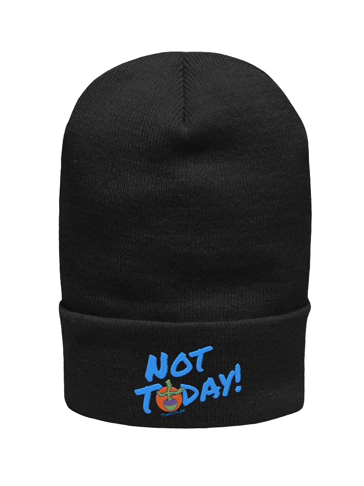 NT Cuffed Beanie product image (6)