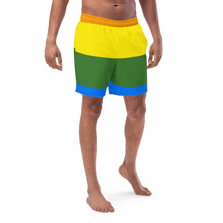 Sunset Stripes All-Over Swim Shorts product image (1)