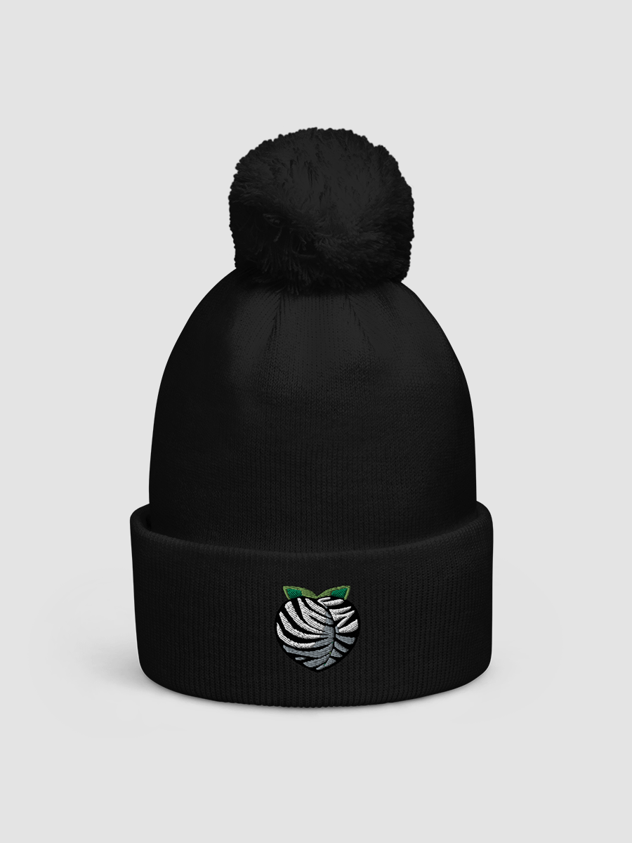 Zebra Peach Pom-Pom Beanie product image (1)