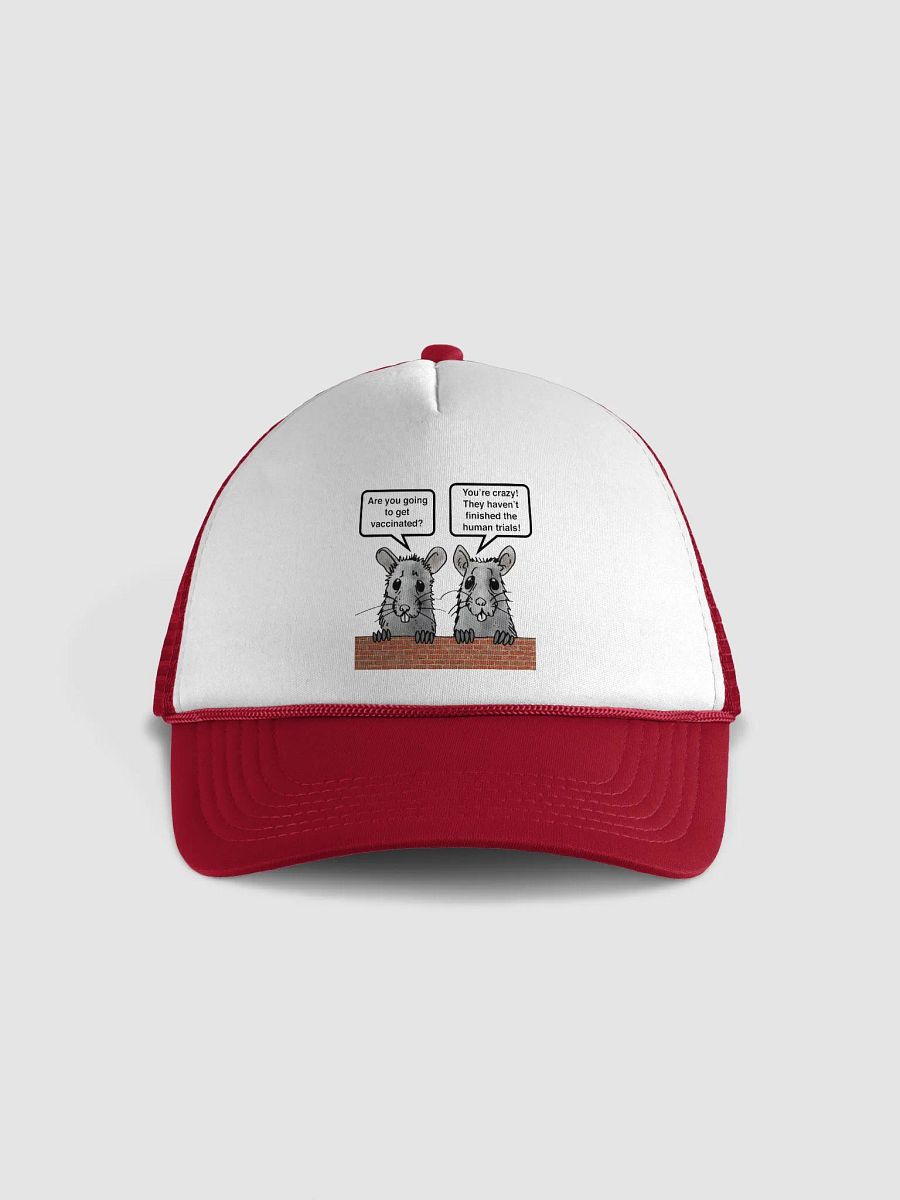 Rats On The Wall Hat product image (1)