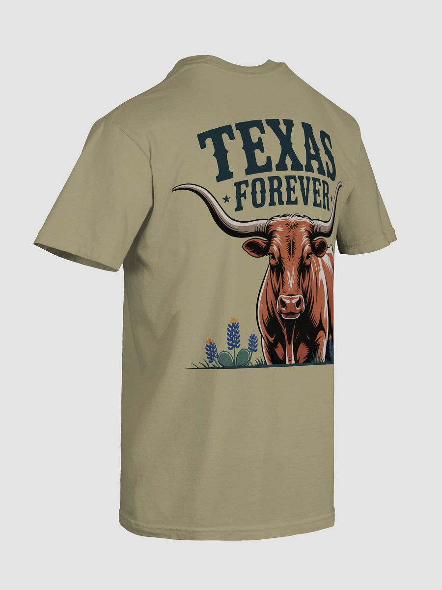 Texas Forever Distressed T-Shirt product image (100)