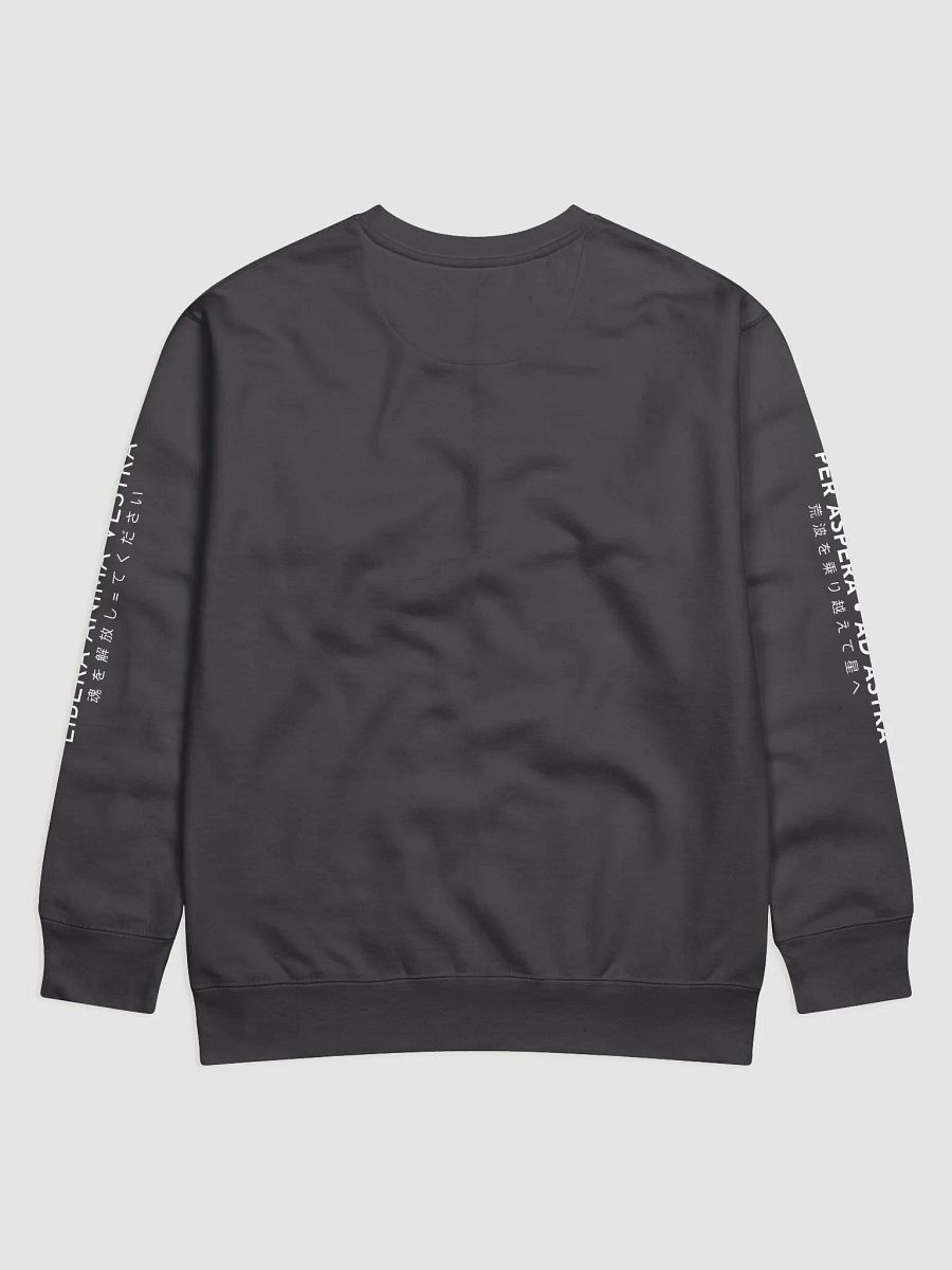 Japanese Sweater product image (5)