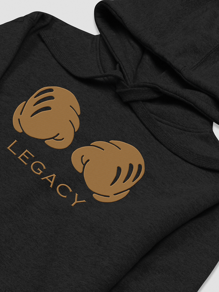 Golden Gloves Premium Hoodie product image (3)