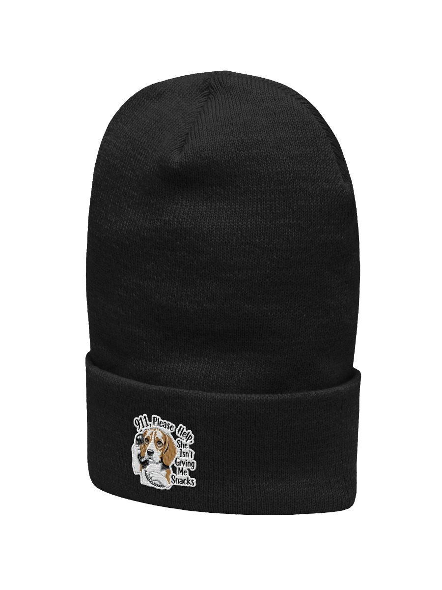 Dex Help Beanie product image (17)