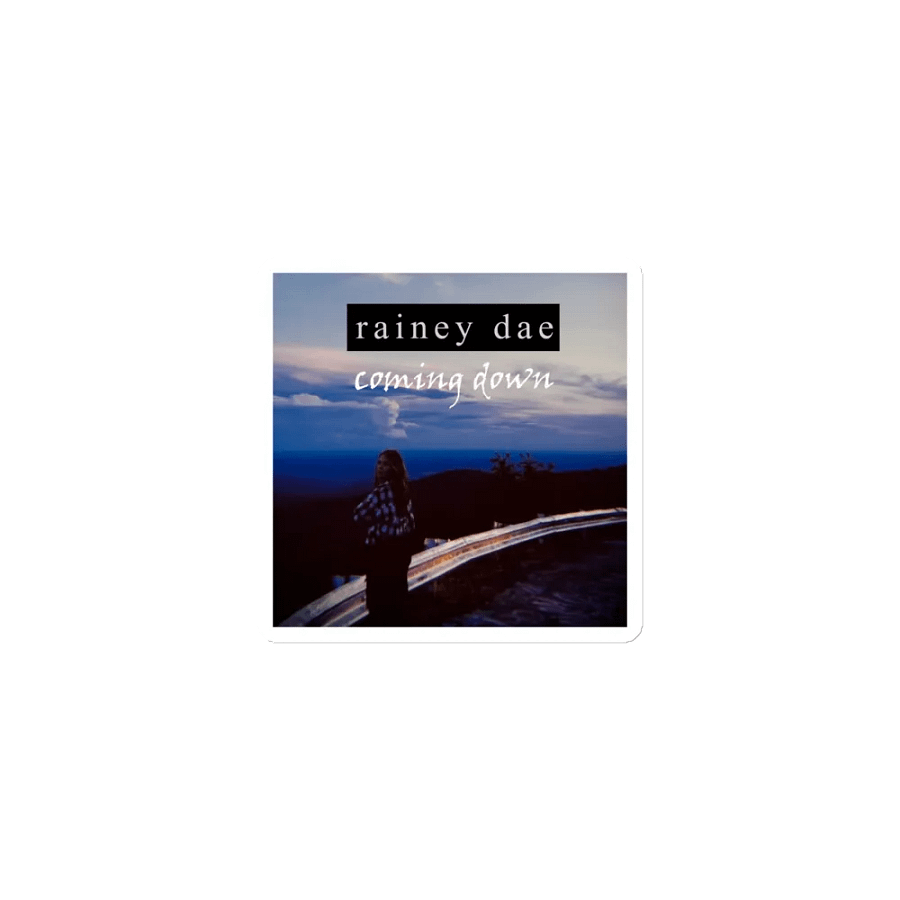 rainey dae Coming Down Die-Cut Magnets product image (1)