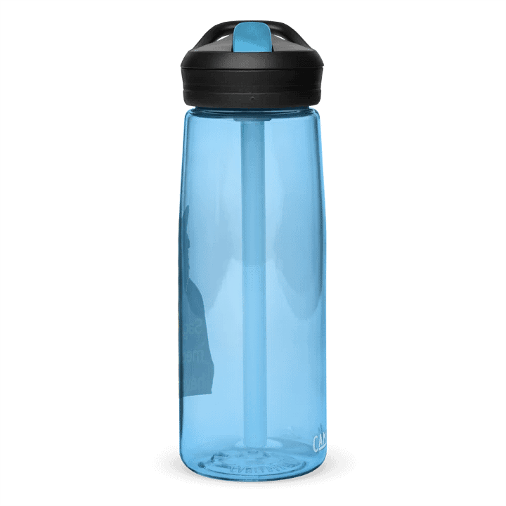 Sage Barter! Water Bottle Straw product image (59)