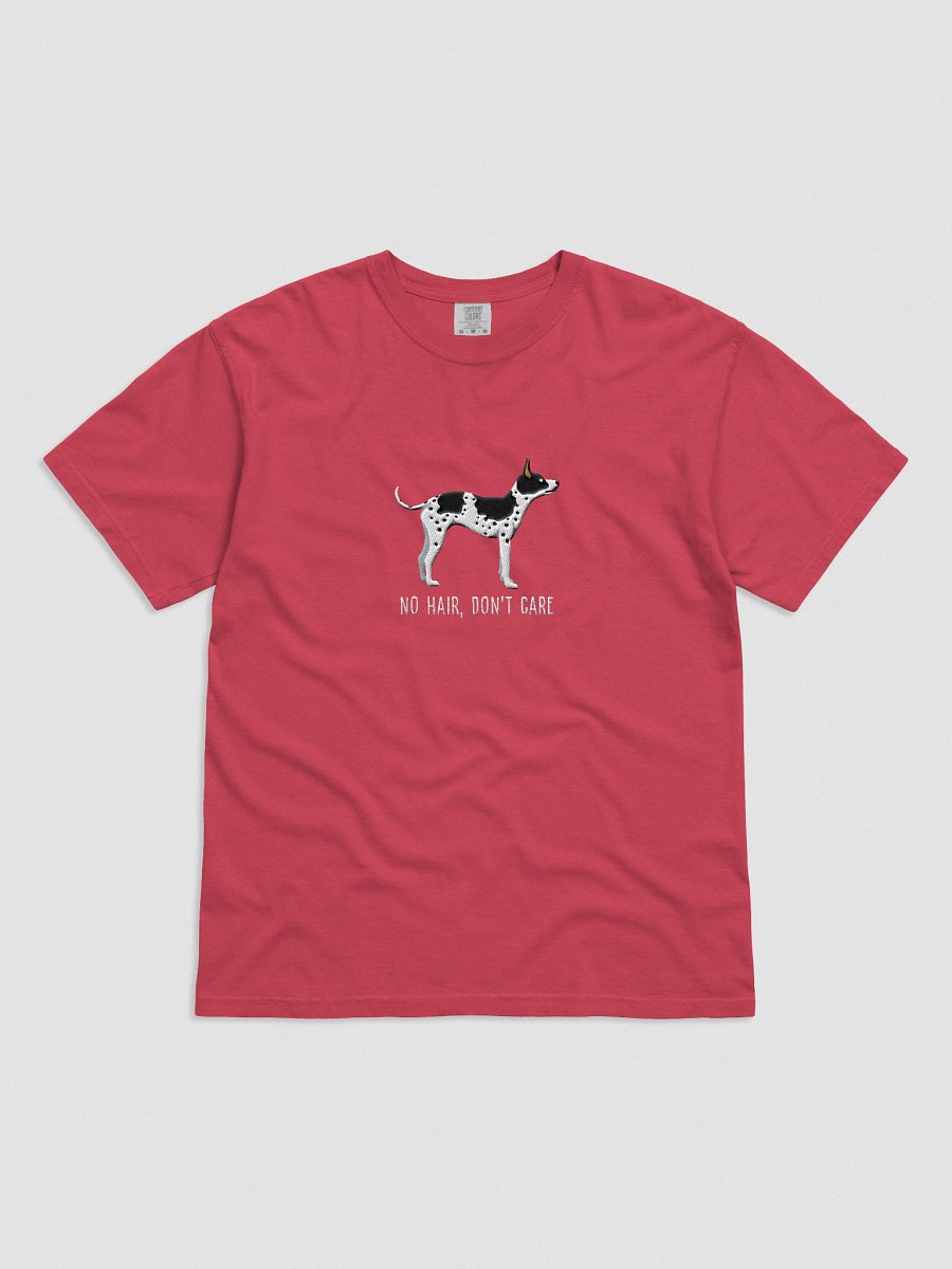 No Hair, Don't Care T-Shirt(Embroidered) of an American Hairless Terrier(Black & White) product image (41)