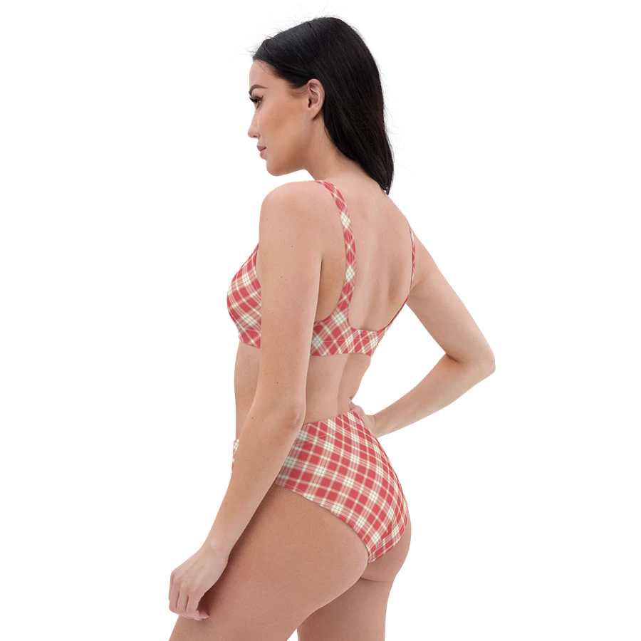 Coral Pink Plaid Bikini product image (7)