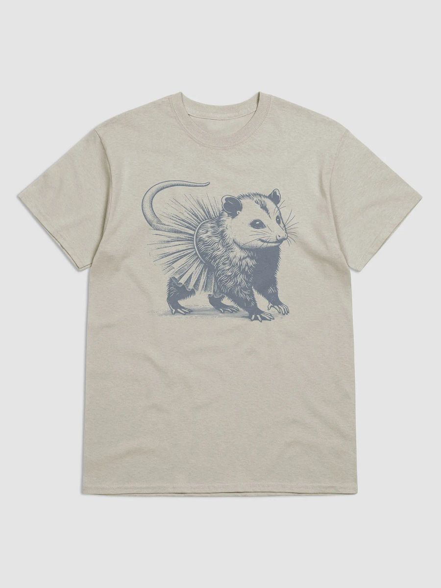 Opossum In Tutu Streetwear Tee product image (1)
