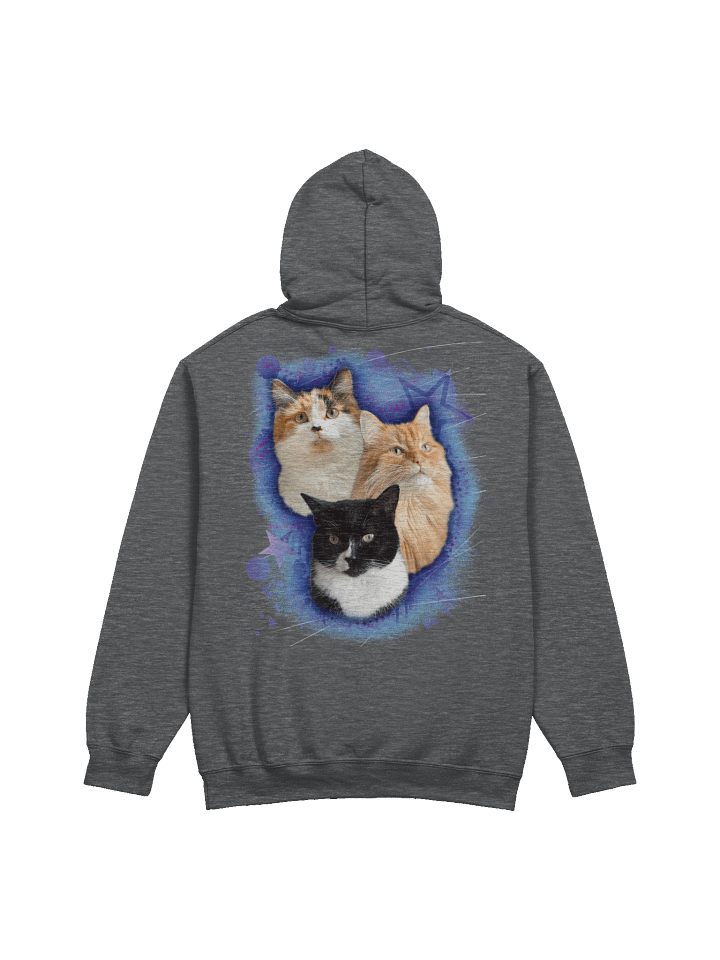 Fluffy Family Hoodie product image (2)