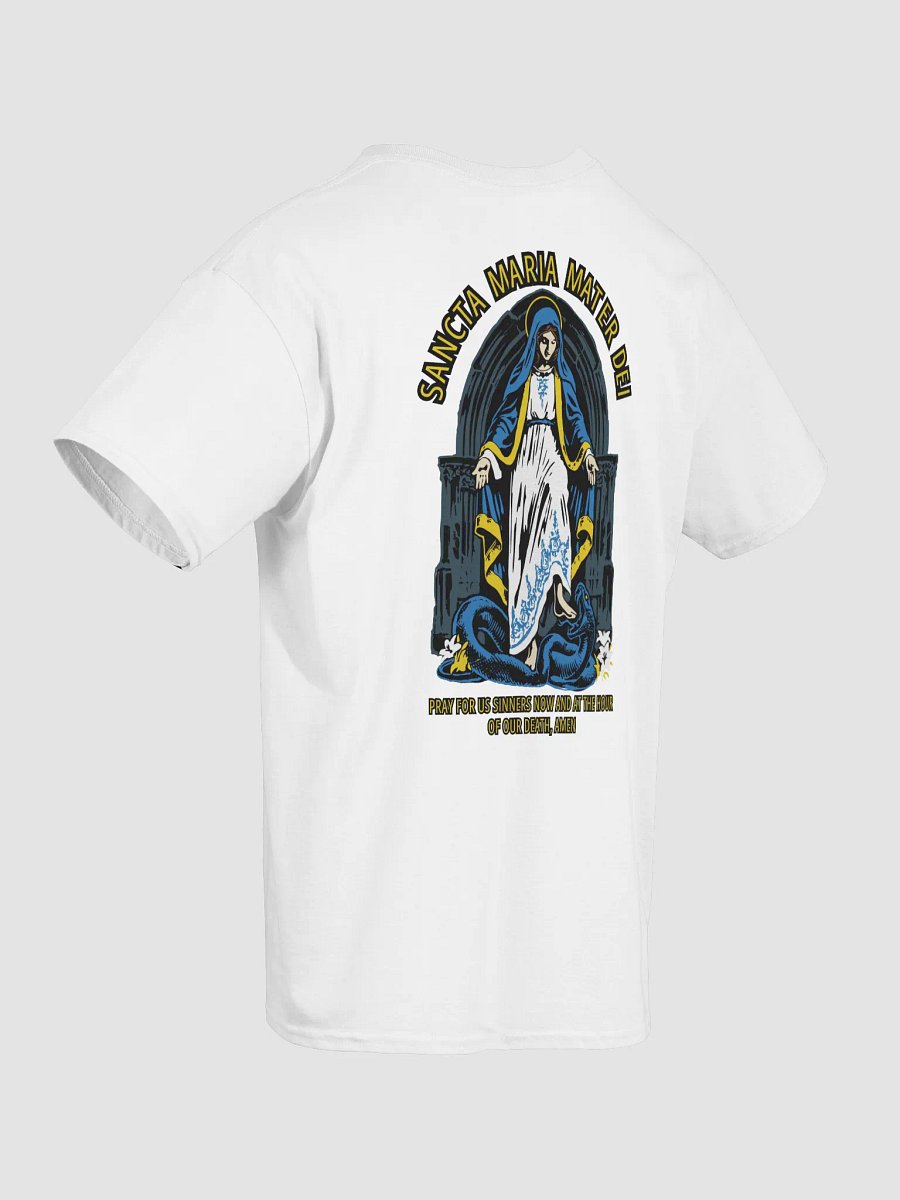 Most Holy Mary Theotokos Ora Pro Nobis product image (6)
