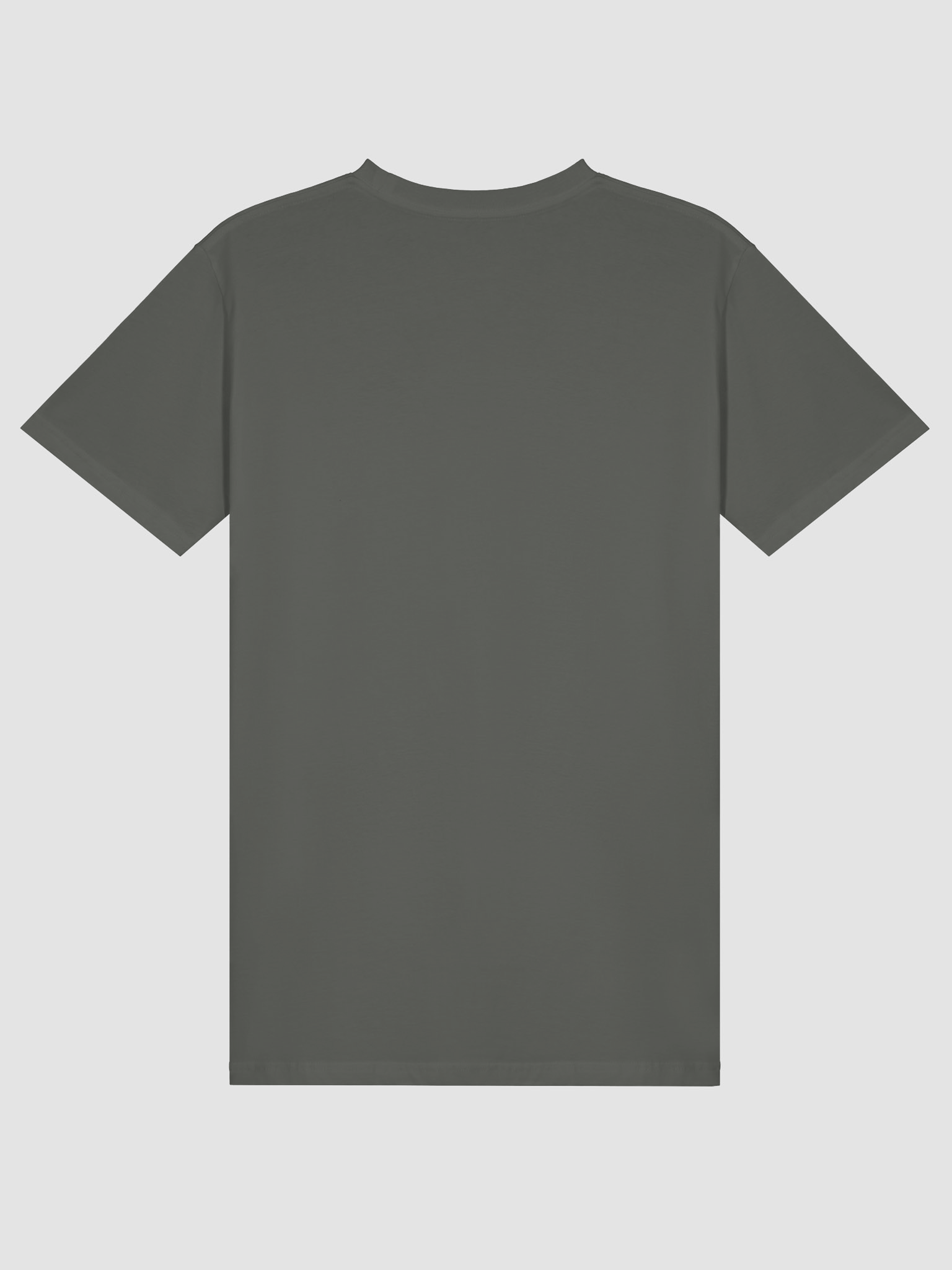 STEGO ATE MY LUNCH SHIRT product image (9)