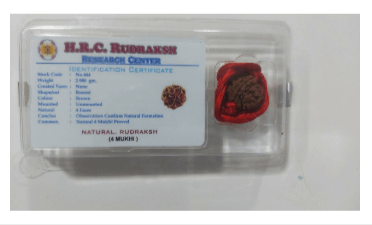 सिध्द चार मुखी रुद्राक्ष product image (1)