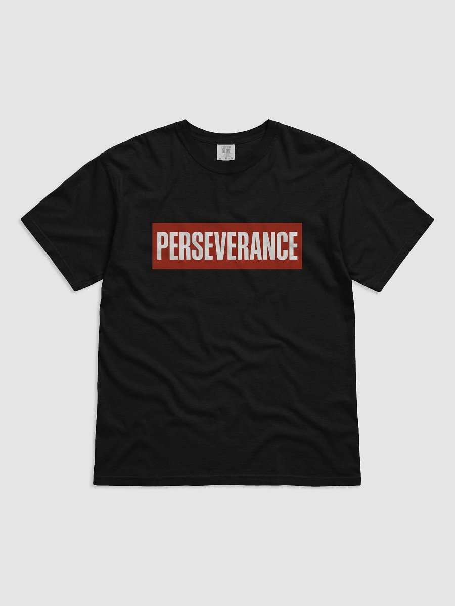PERSEVERANCE – Mars Rover Statement T-Shirt | NASA-Inspired Bold Design product image (1)