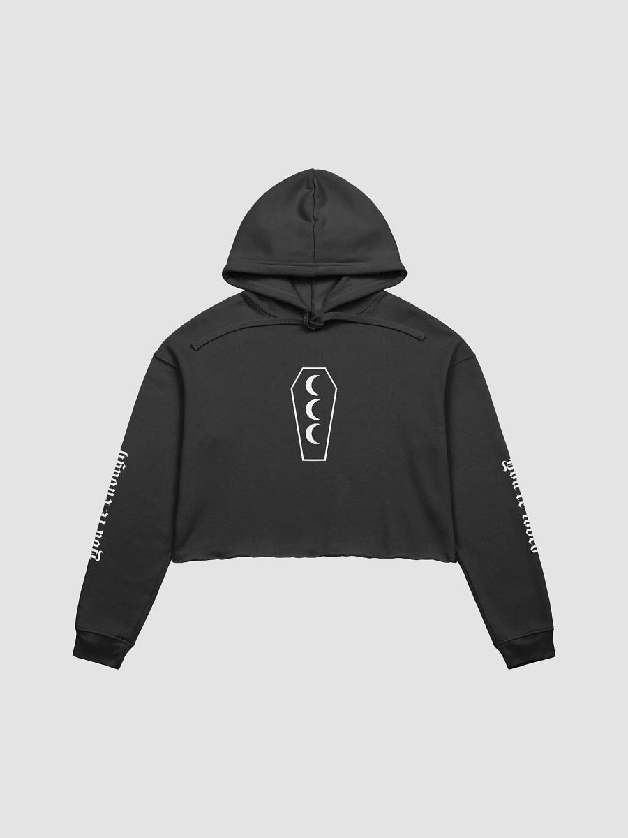 CCC Cropped Hoodie product image (1)