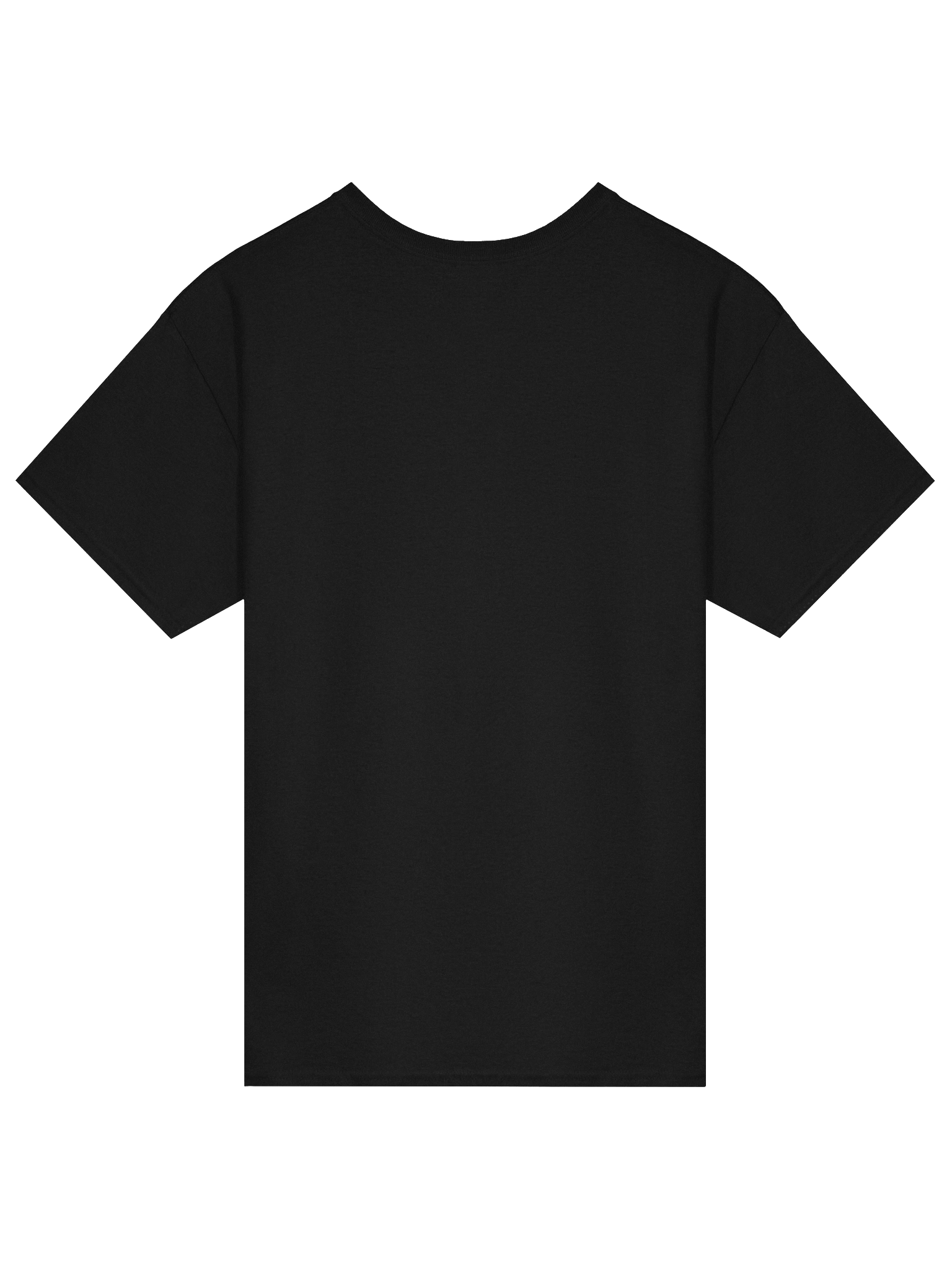 🔥 EMSPIRACY x DRAGON LINE Gildan Heavyweight Streetwear Tee 🔥 product image (13)