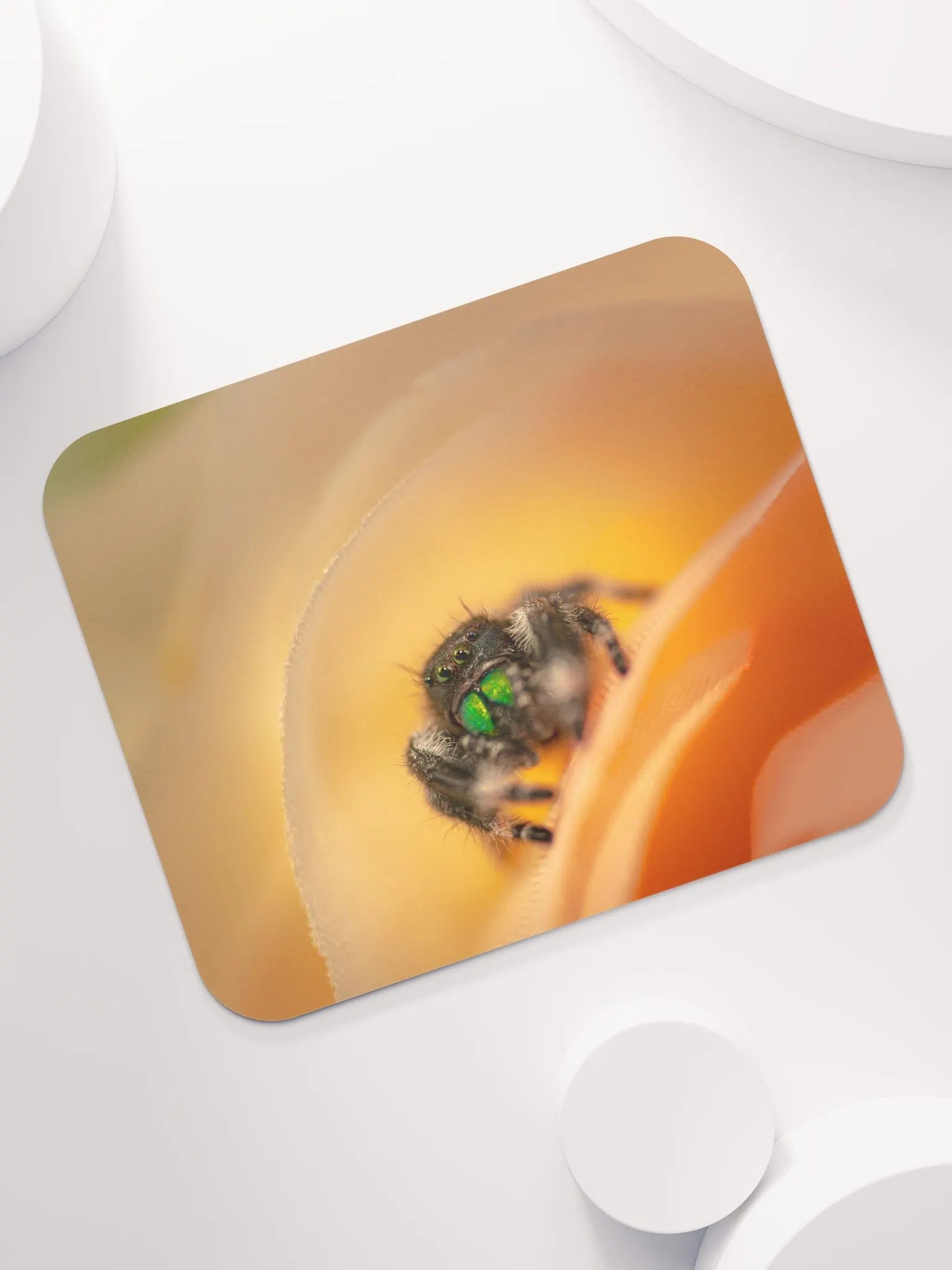 Carl's Pad product image (7)