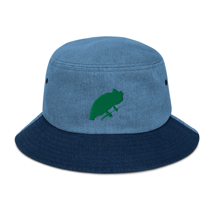 jean chameleon hat color:green product image (1)