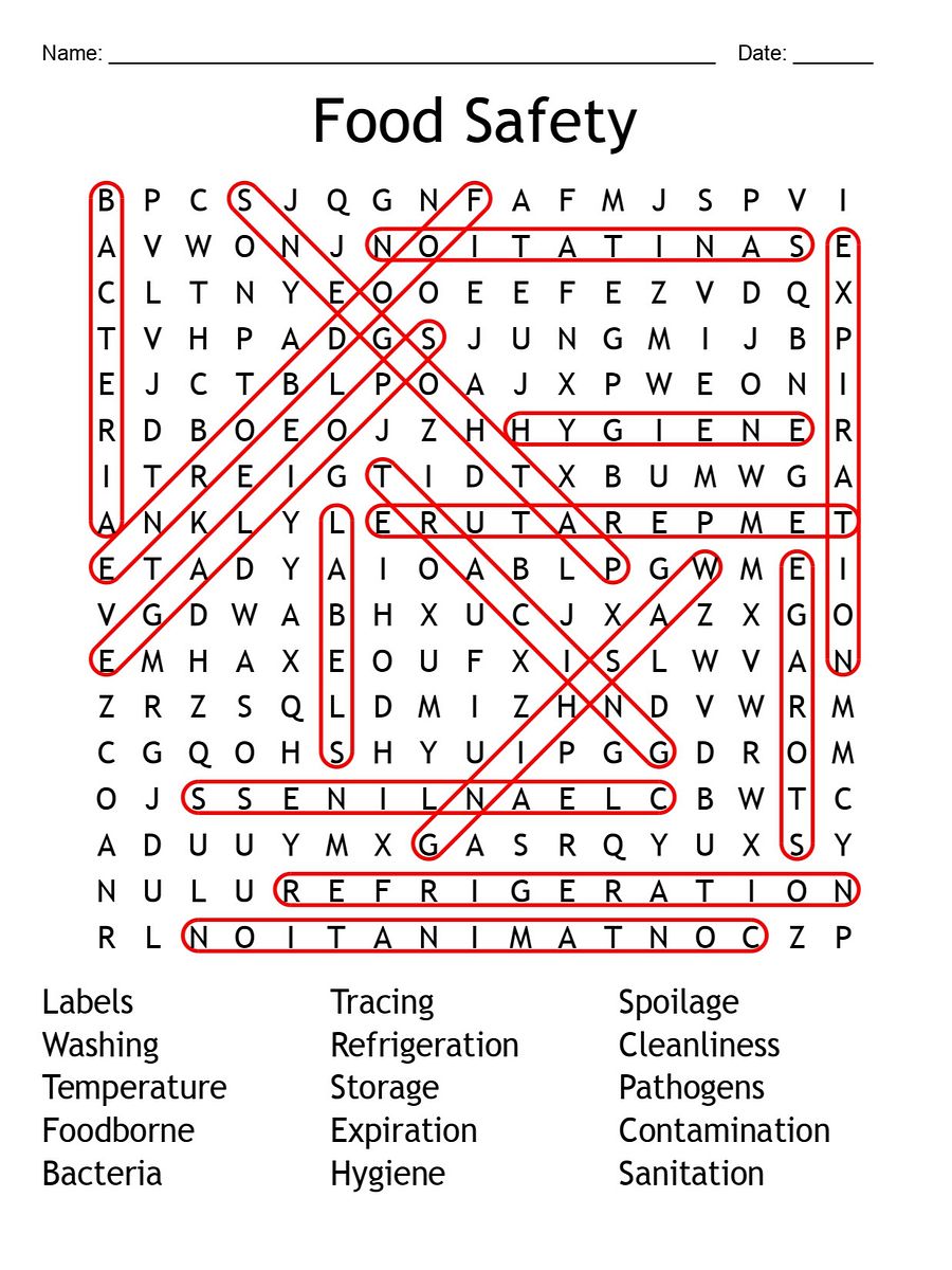 Printable Food Safety Word Search – 15 Key Terms! product image (2)