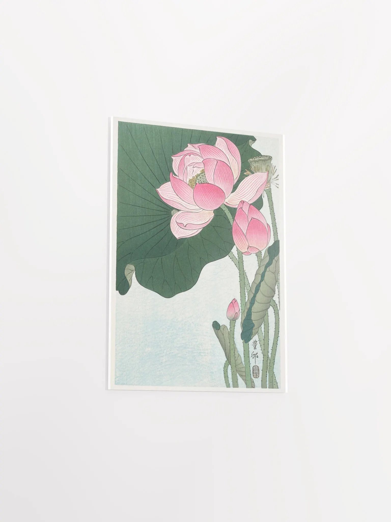 Blooming Lotus Flowers by Ohara Koson product image (3)