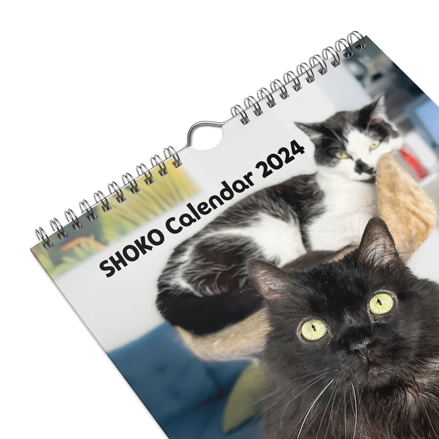 The 2024 ShoKo Cat Calendar product image (5)