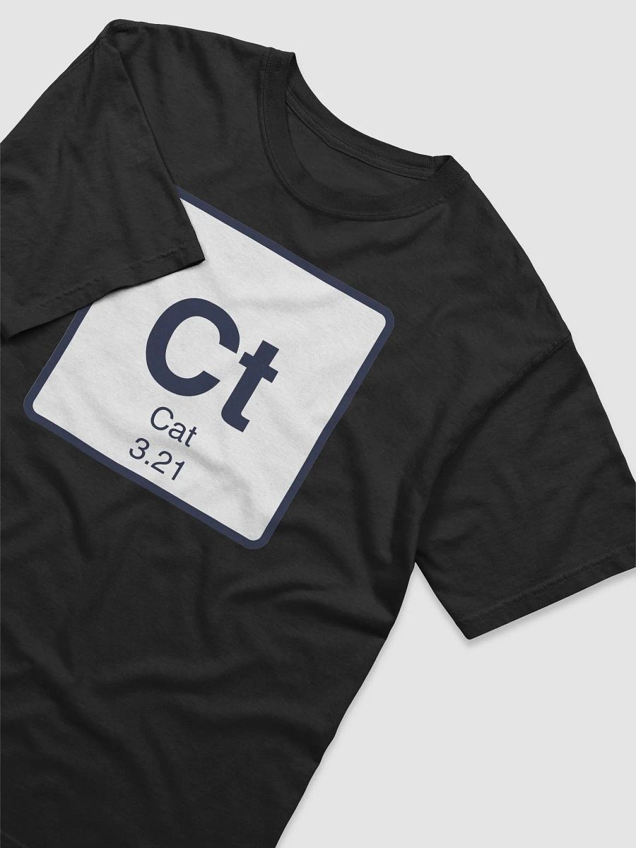 Comfort Colors Garment-Dyed Heavyweight T-Shirt product image (7)