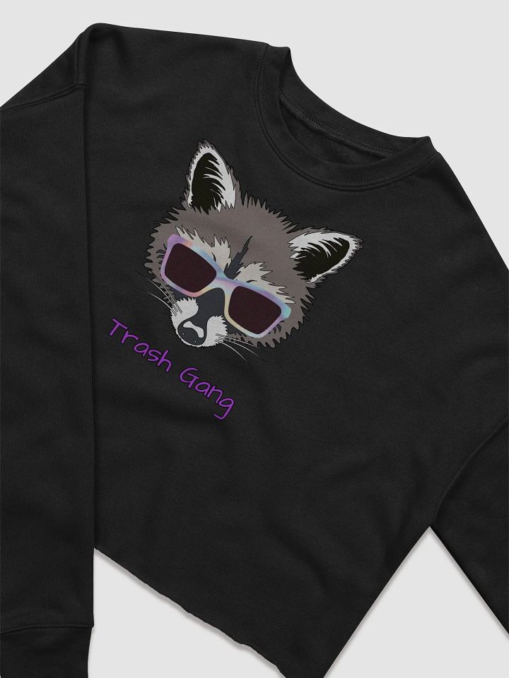 TG Crop Sweater product image (2)