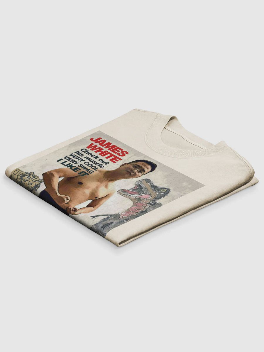 AS Colour Premium Oversized Faded T-Shirt: swag warrior product image (13)