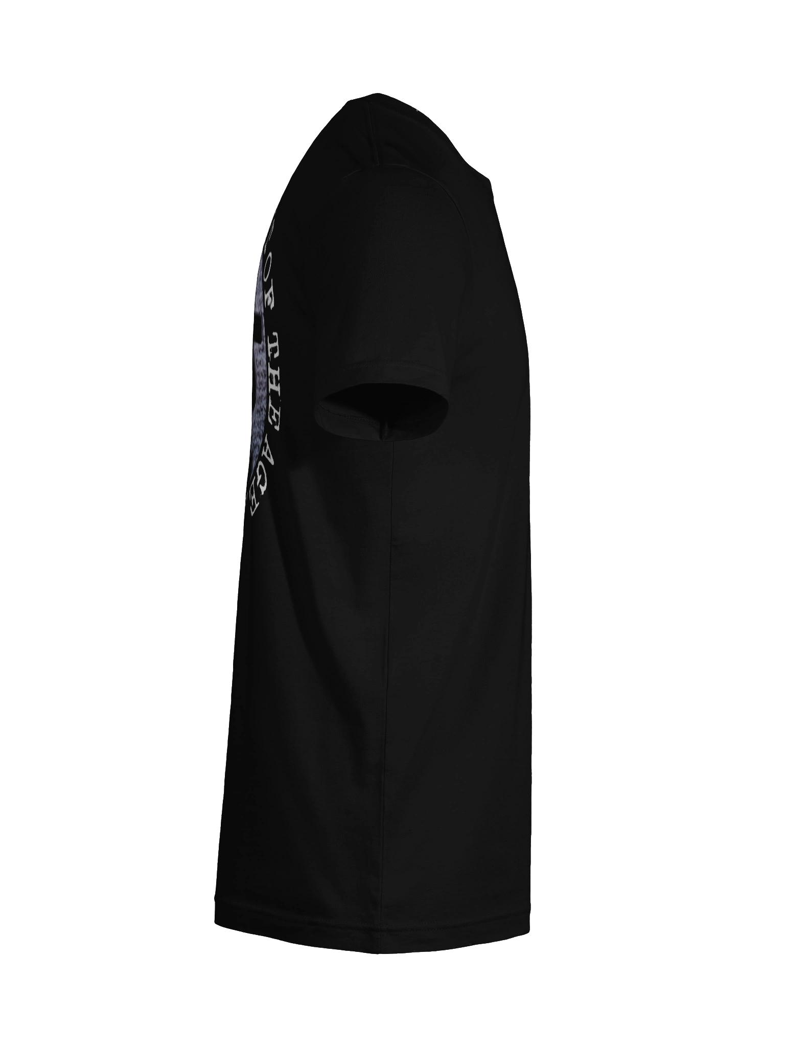 HOLY REVOLT product image (12)